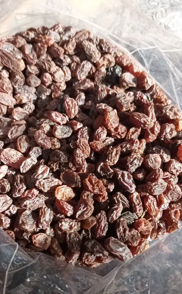 کشمش بیدانه|خوردنی و آشامیدنی|محمدیه-قزوین, |دیوار