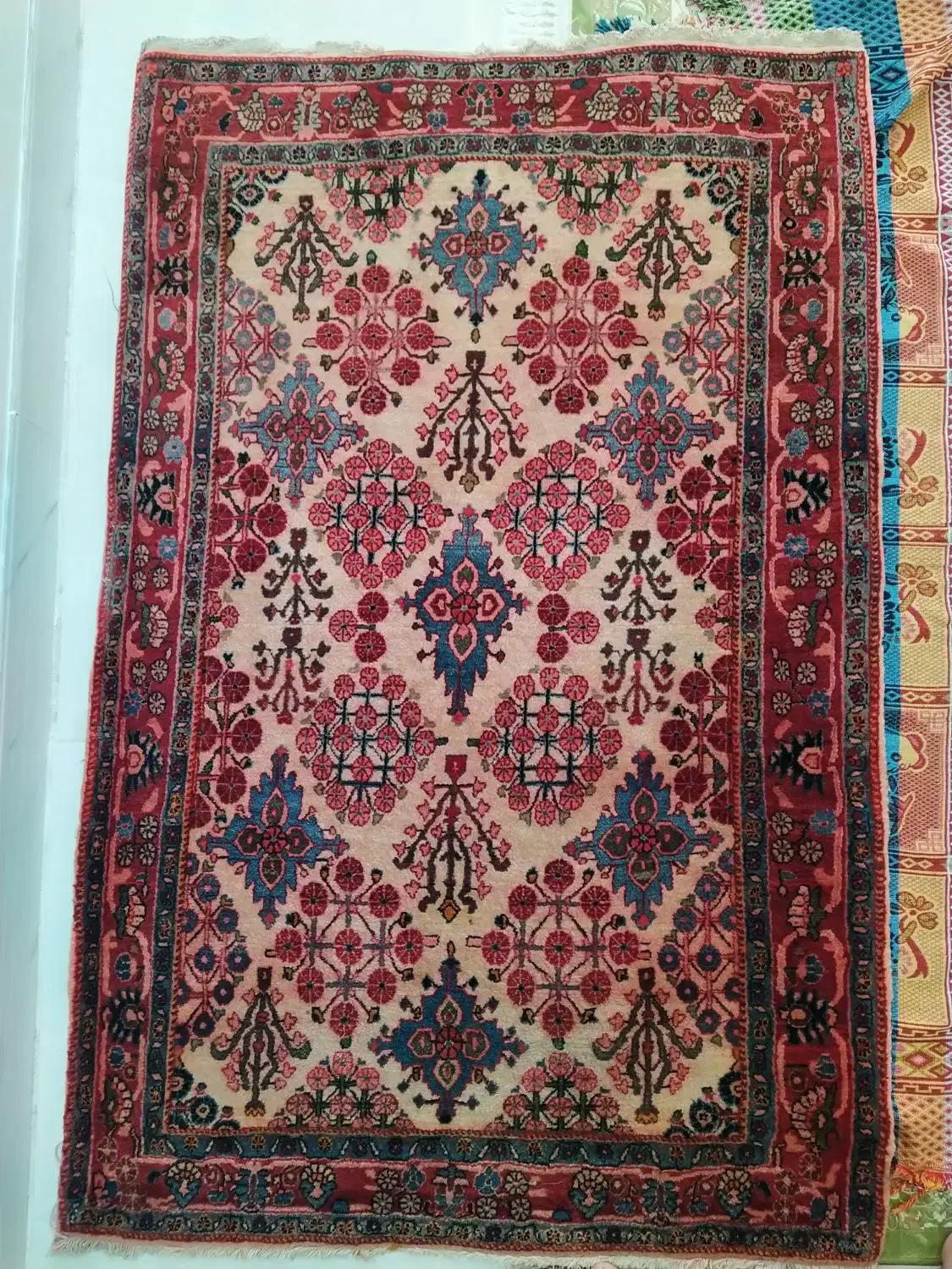 فرش دستبافت میمه|فرش|پرند, فاز ۰|دیوار