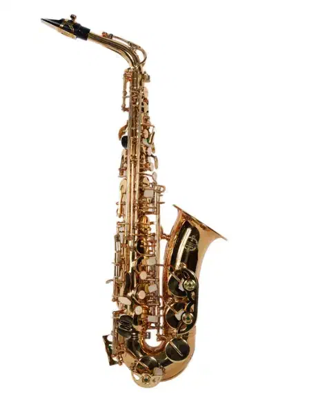 ساکسیفون آلتو برند سوزوکی|سازهای بادی|تهران, جمهوری|دیوار