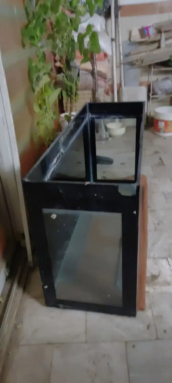 آکواریوم شیشه ((10میل))|ماهی|قم, باغ کرباسی|دیوار