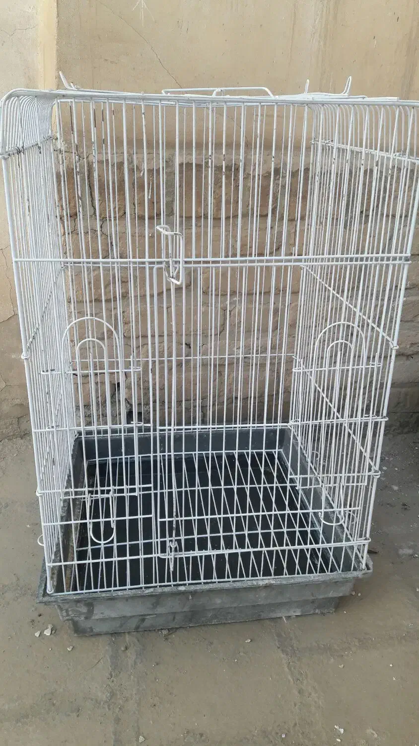 قفس کاسکویی|لوازم جانبی حیوانات|کاشان, امام خمینی|دیوار