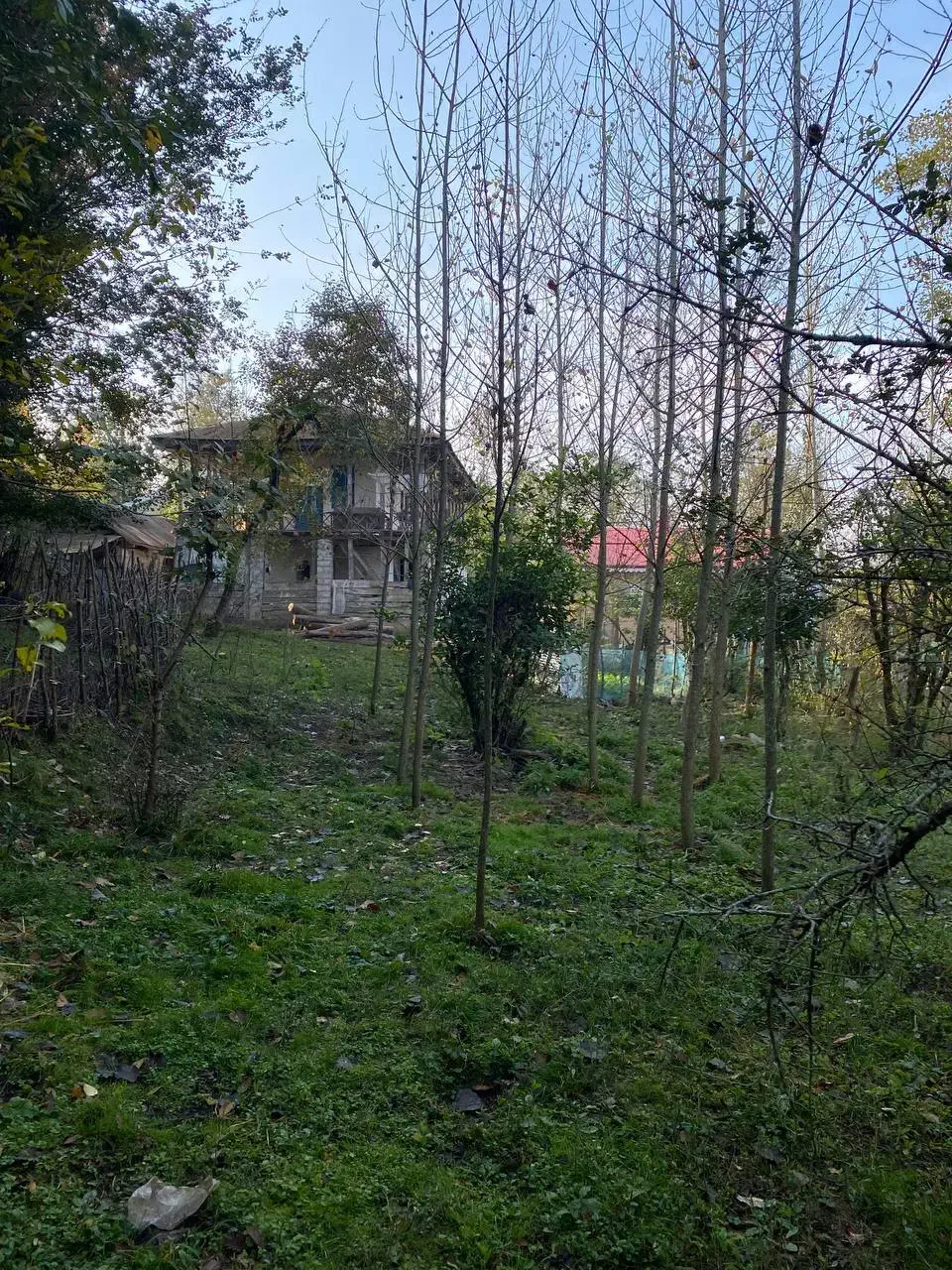 زمین شهربیجار کوکنه بهترین ویو|فروش زمین و ملک کلنگی|رشت, دباغیان|دیوار