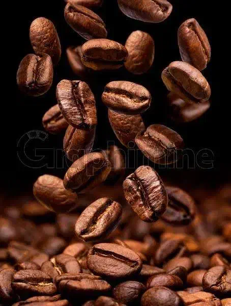 پخش عمده قهوه|عمدهفروشی|الیگودرز, |دیوار