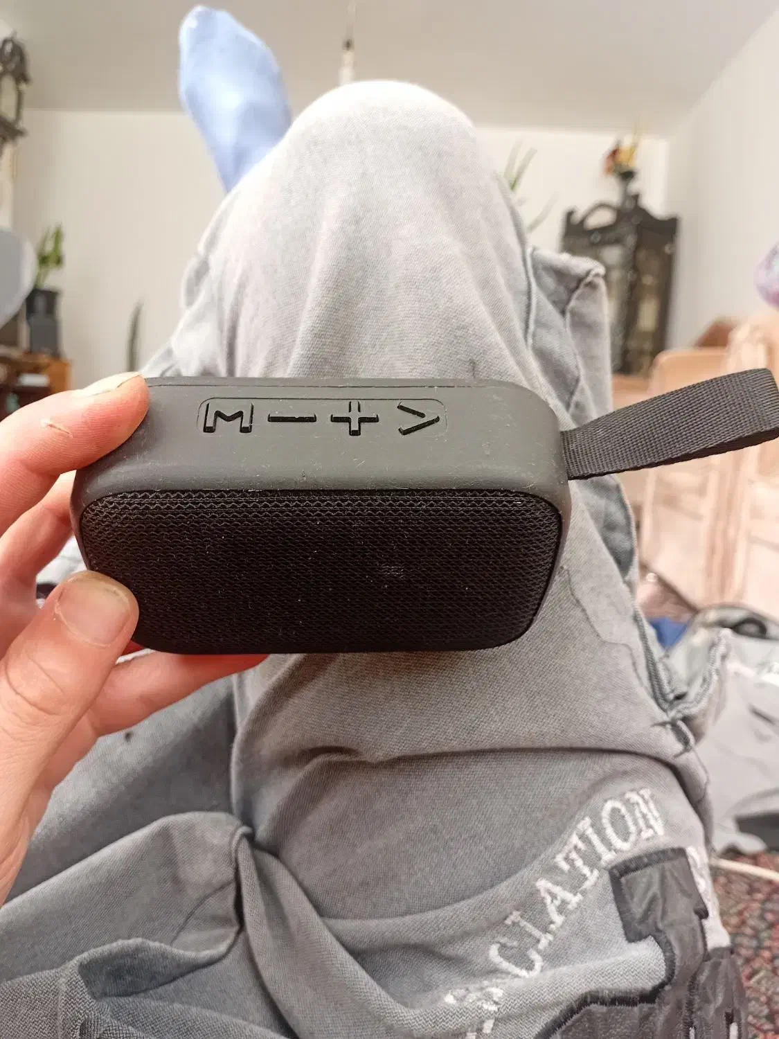 اسپیکر|پخشکننده همراه|اردبیل, |دیوار