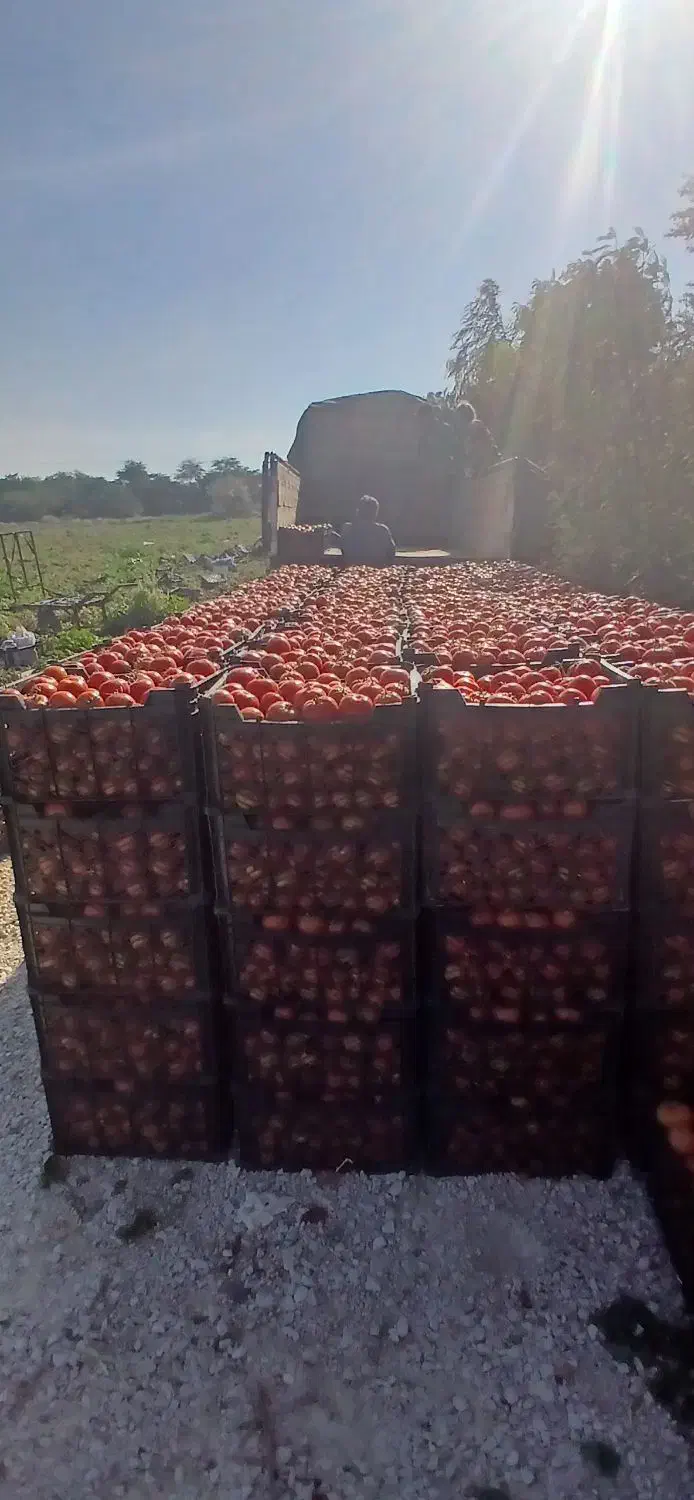 الوند 90|خودرو سنگین|اهواز, اهواز|دیوار