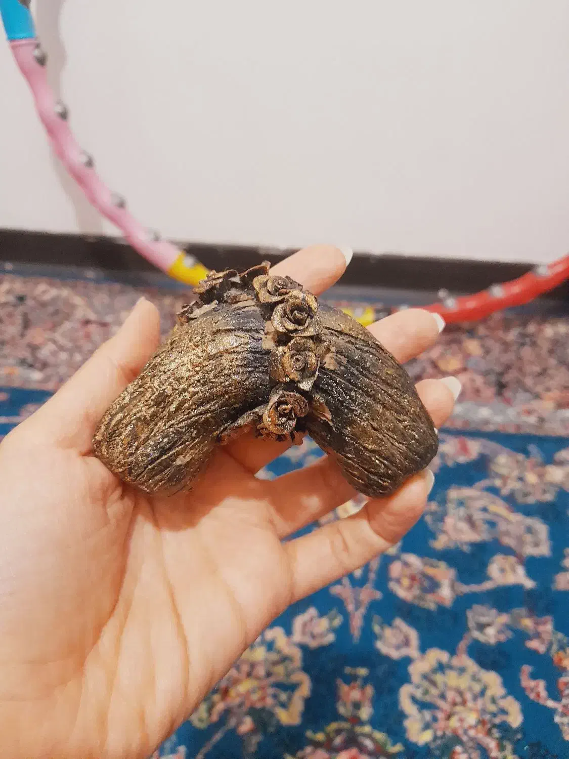 دیوار کوب تزئینی|مجسمه، تندیس، ماکت|قم, نوبهار|دیوار