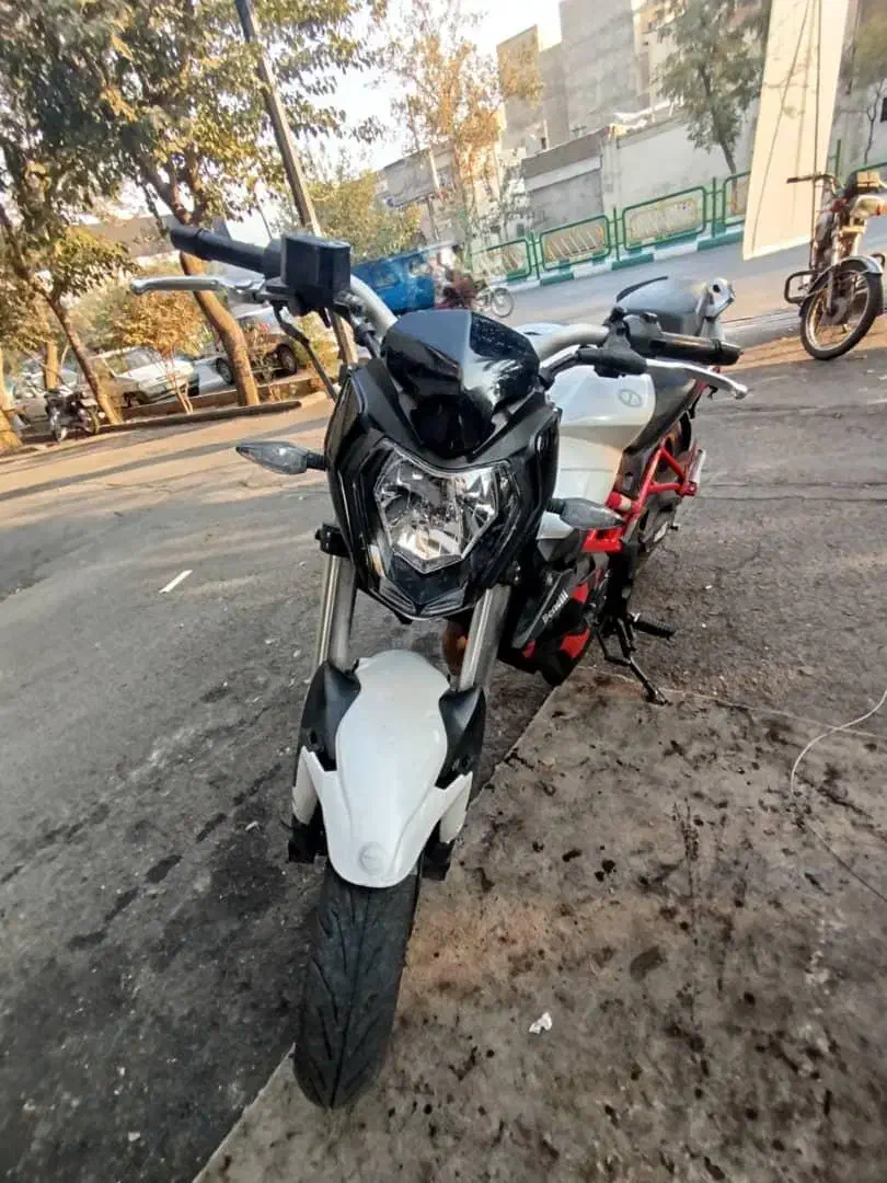 موتور سیکلت بنلی ۲۵۰|موتورسیکلت|تهران, شیوا|دیوار