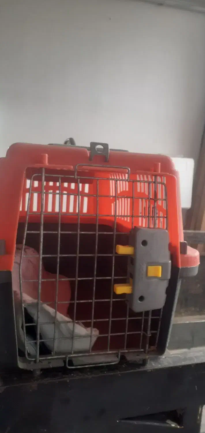 قفس سگ|لوازم جانبی حیوانات|لنگرود, |دیوار