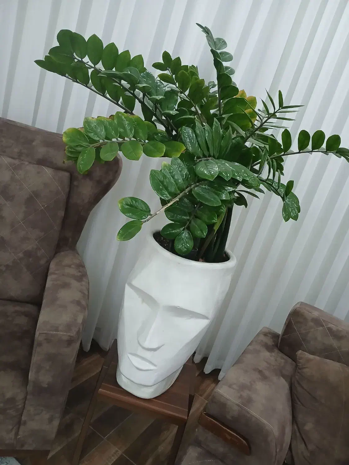 گل و گلدان|گل و گیاه طبیعی|مریوان, |دیوار