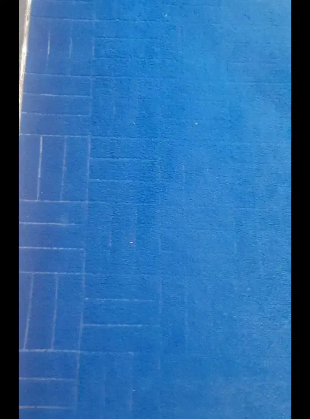 موکت|موکت|کرمانشاه, |دیوار