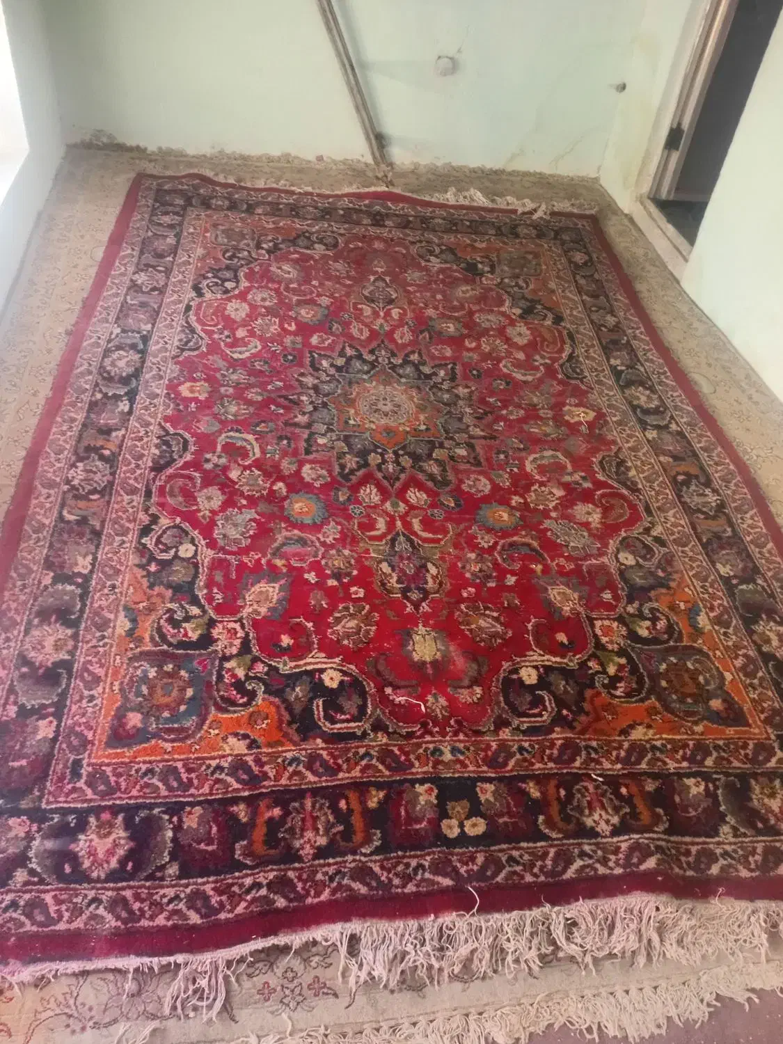 دو تحنه فرش ۱۲و۶متری|فرش|مشهد, آبکوه|دیوار