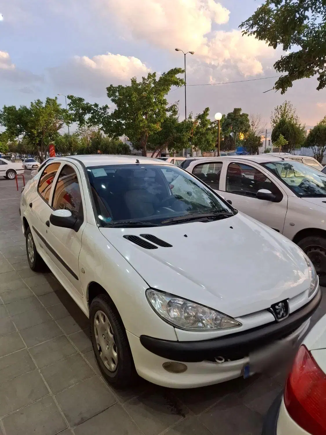 206 sd v8 مدل 96|خودرو سواری و وانت|زنجان, |دیوار