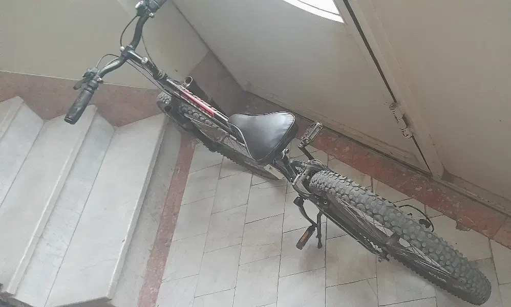 دوچرخه ویوا فروشی|دوچرخه، اسکیت، اسکوتر|اندیشه, اندیشه فاز ۳|دیوار