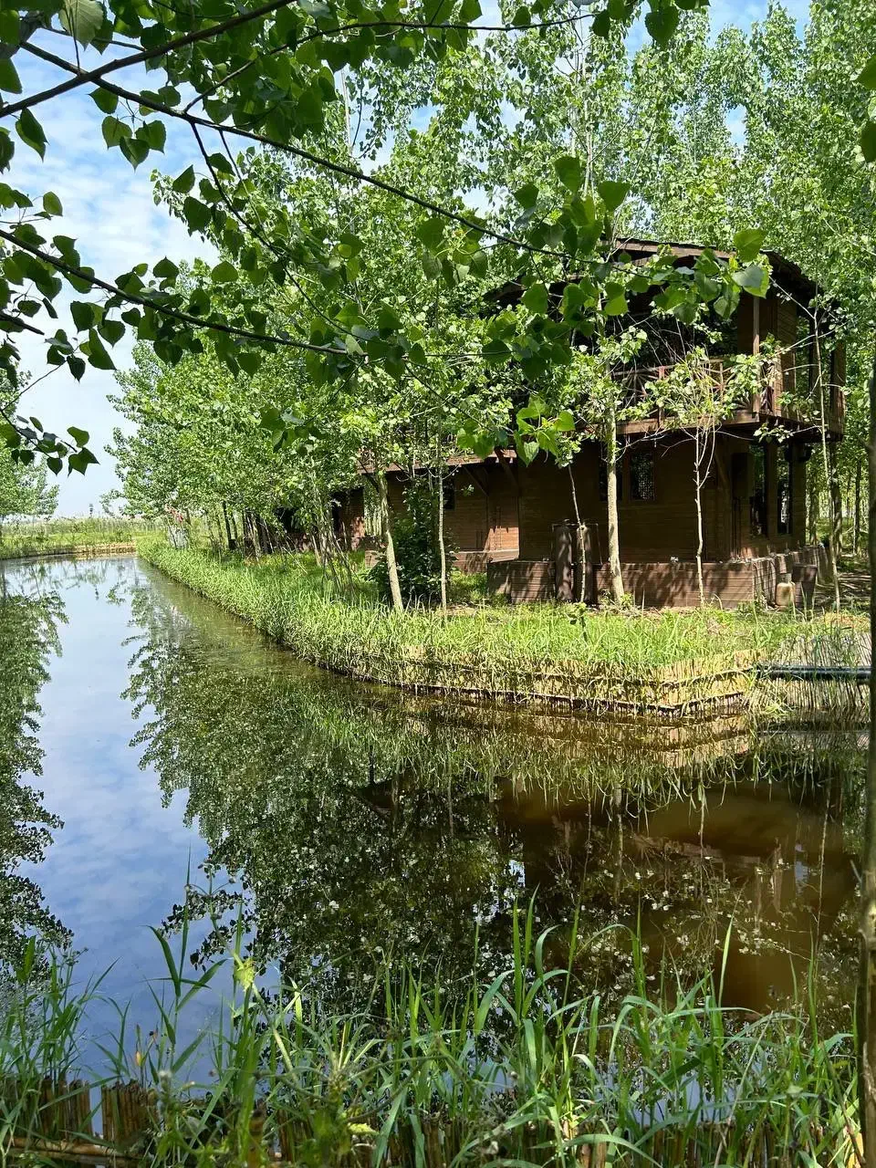 بکرترین پروژه دنیا اینجاست|فروش خانه و ویلا|آسارا, |دیوار