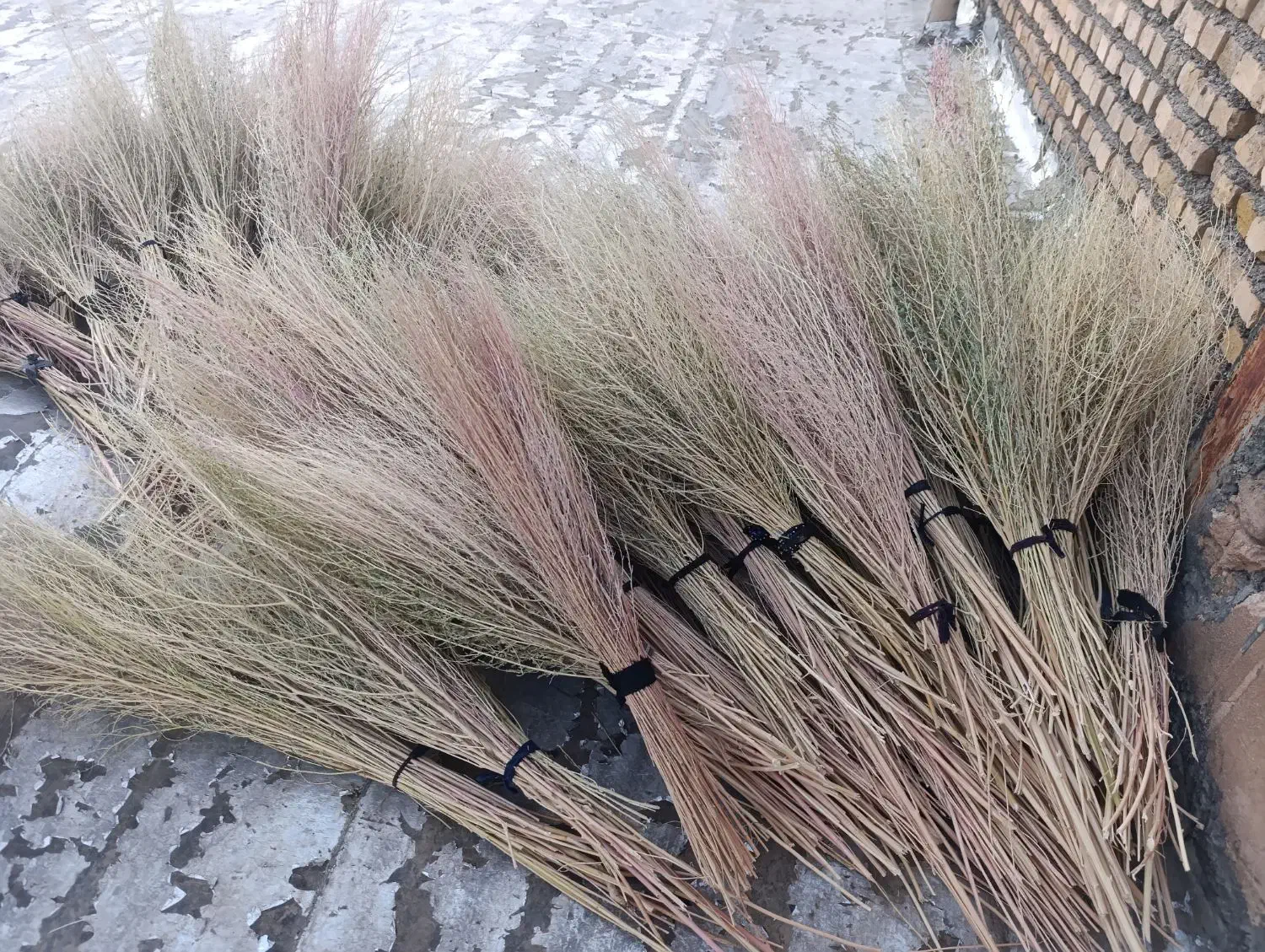 جارو محلی|لوازم نظافت|الشتر, |دیوار