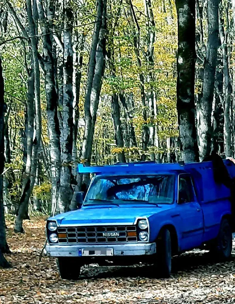 نیسان وانت زامیاد|خودرو سواری و وانت|صادق آباد, |دیوار