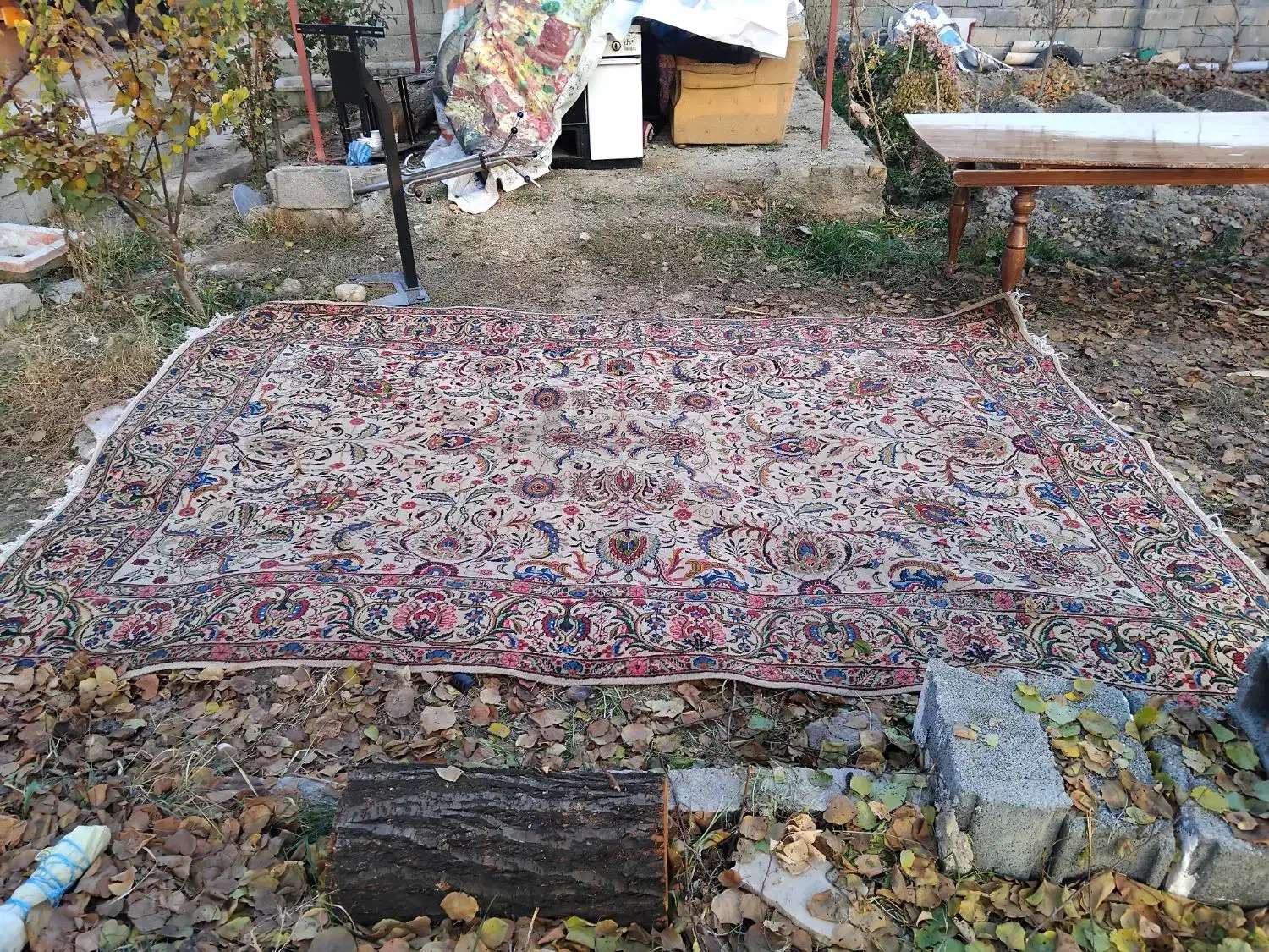 فرش|فرش|ارومیه, |دیوار