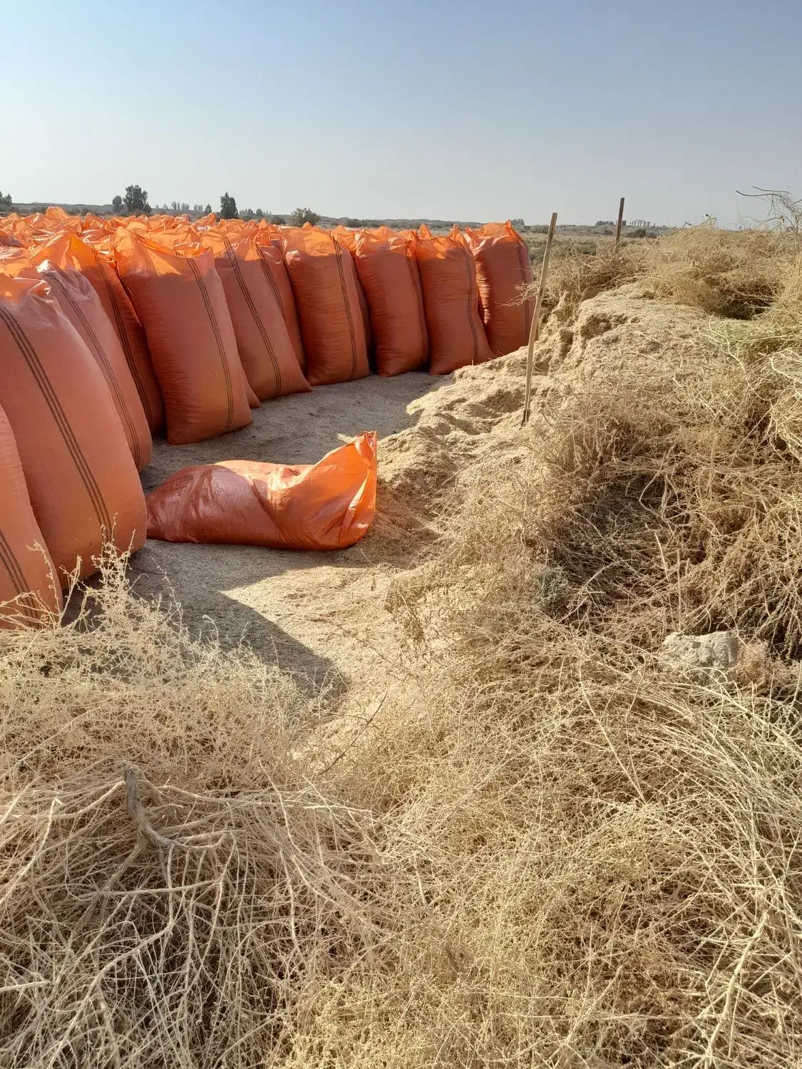 کاه گندم امسالی زابل|حیوانات مزرعه|جزنیک, |دیوار