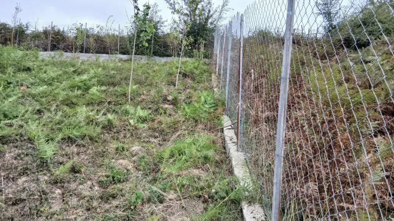 زمین، روستای پاجی|فروش زمین و ملک کلنگی|فریم, |دیوار