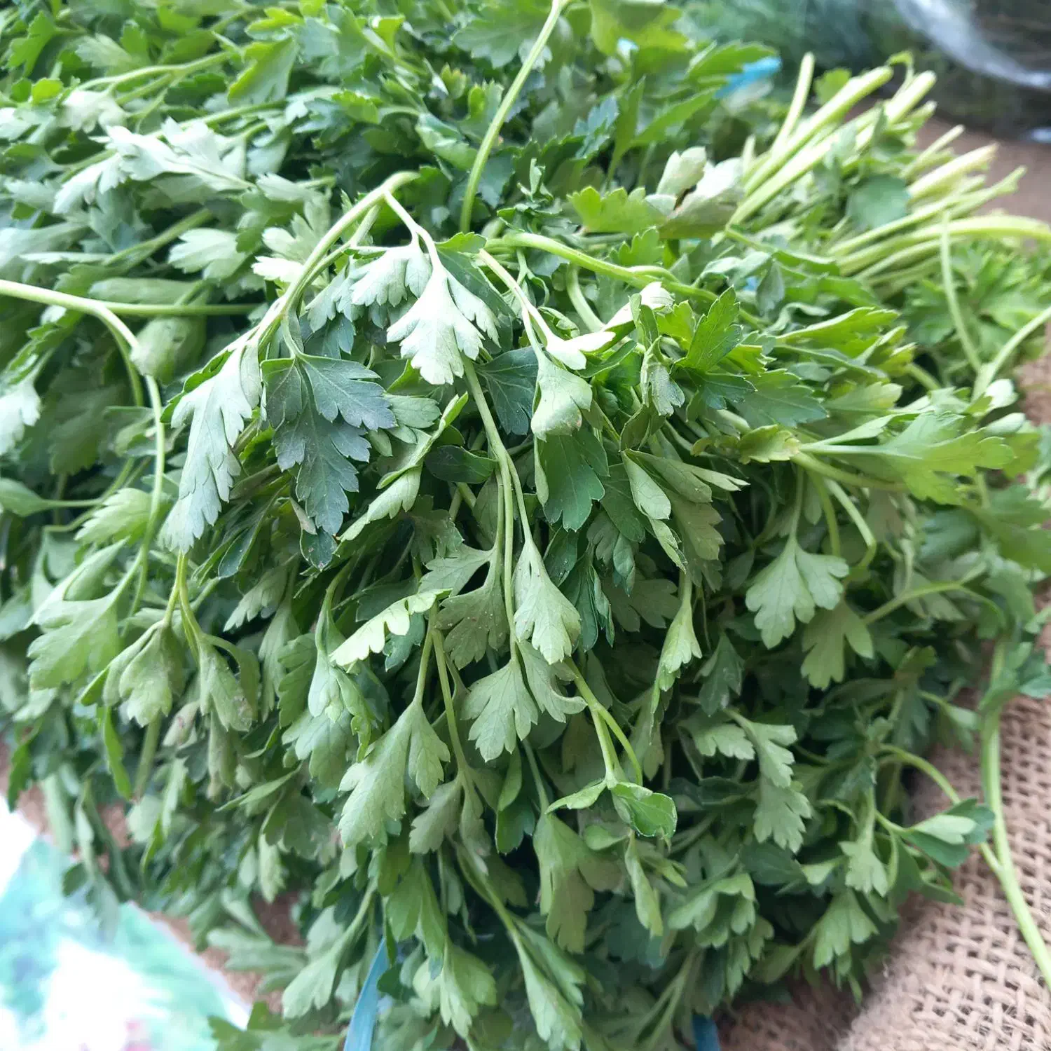 سبزی تازه - کلی - جزیی|خوردنی و آشامیدنی|تهران, افسریه جنوبی|دیوار