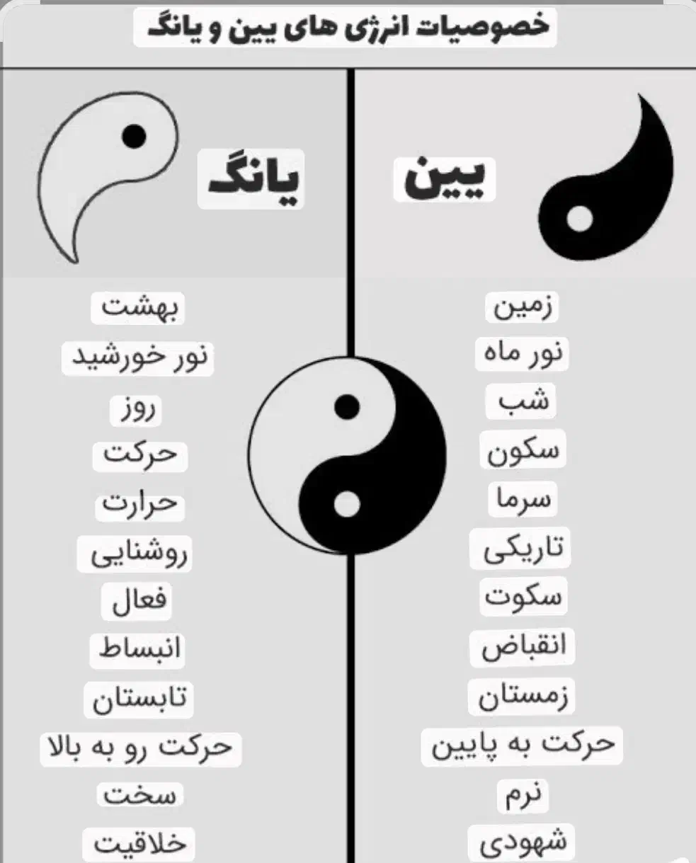 آموزش نانچکو  (لانچکو) مقدماتی|خدمات آموزشی|شیراز, لاله|دیوار