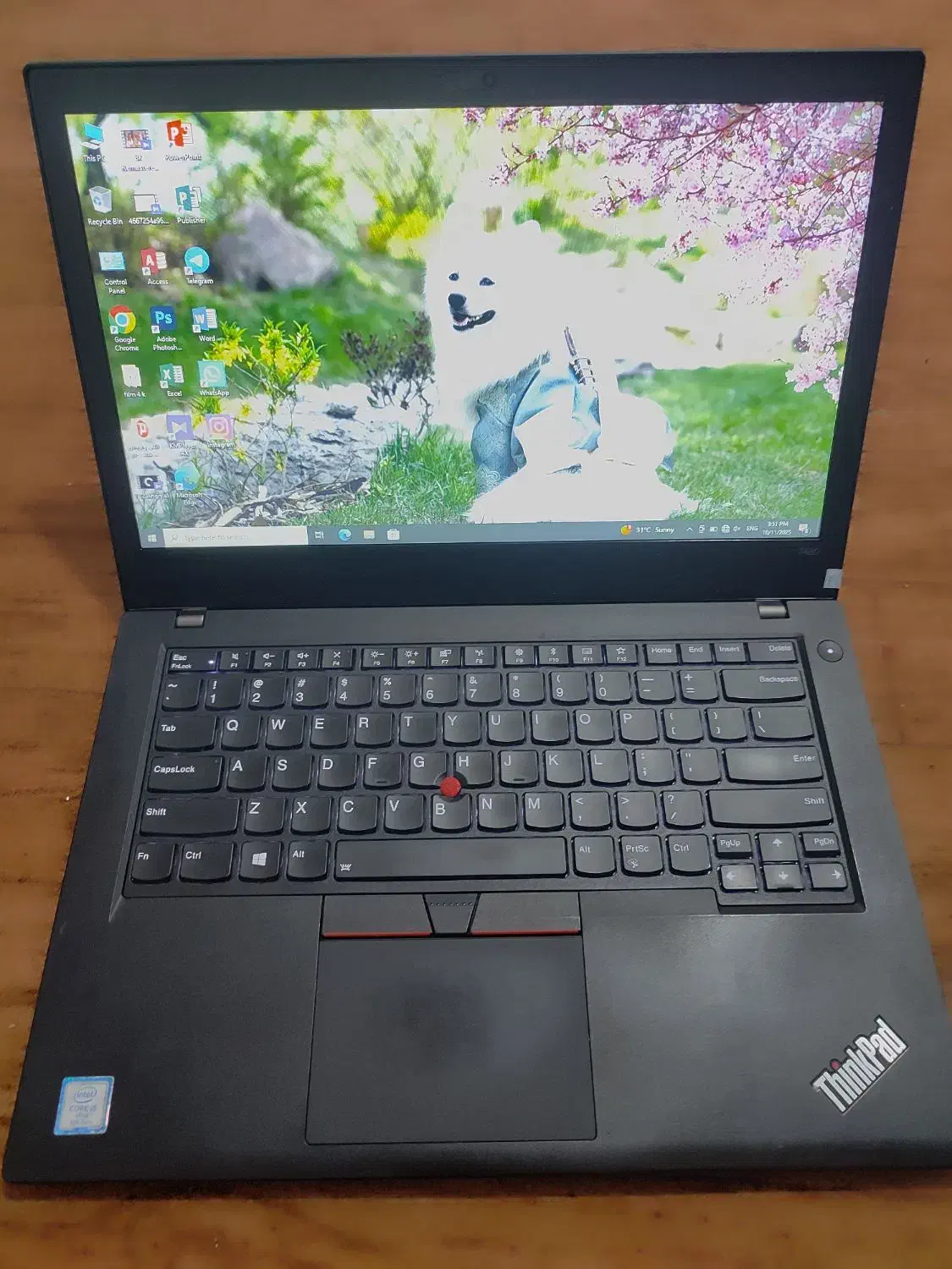 لپتاپ Lenovo T480 (نقد و اقساط) حسابداری|رایانه همراه|بوشهر, |دیوار