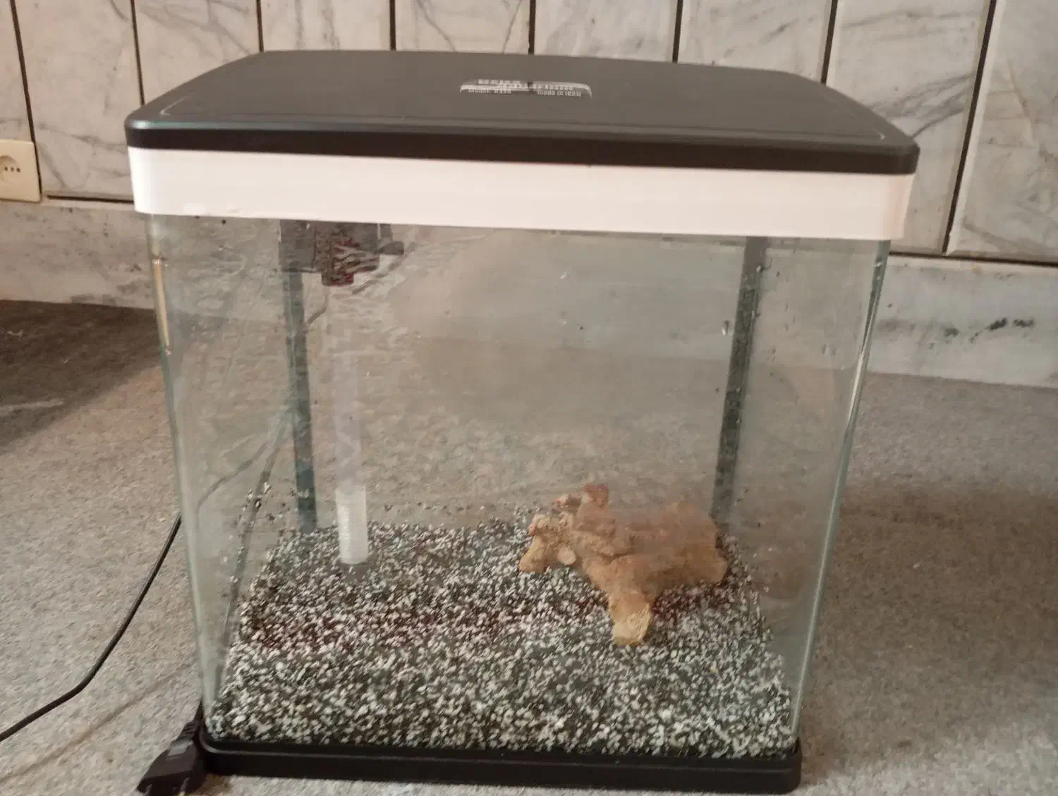 آکواریوم|ماهی|مبارکه, |دیوار