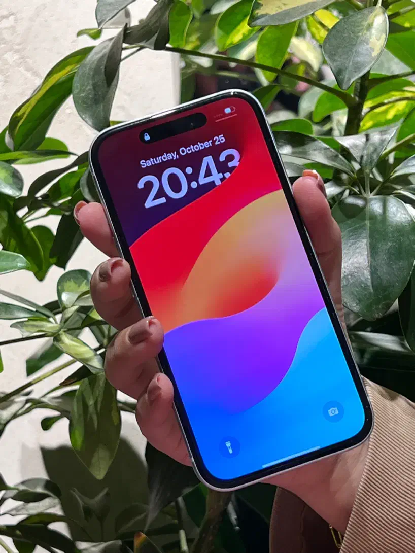 Iphone 15|موبایل|مشهد, دانشجو|دیوار