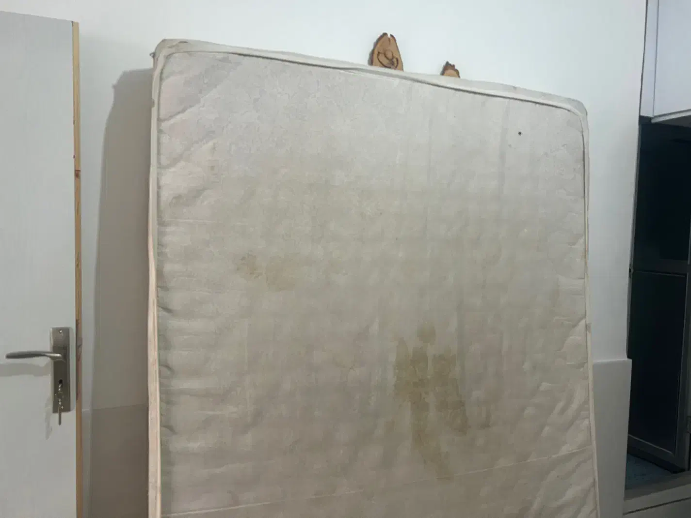 خوشخواب|تشک تختخواب|بیرجند, |دیوار