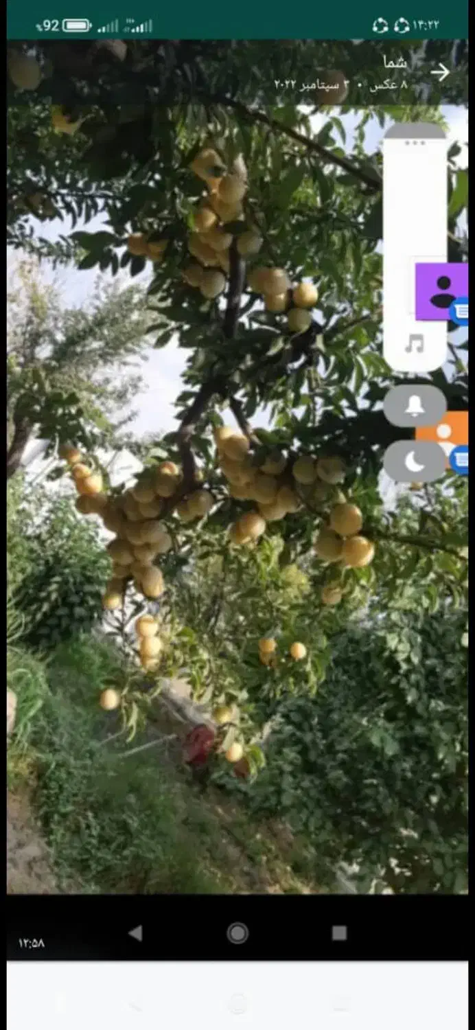 باغ ۱۳۵۰ متری صباشهر فوری فروشی|فروش خانه و ویلا|شهریار, اسکمان|دیوار