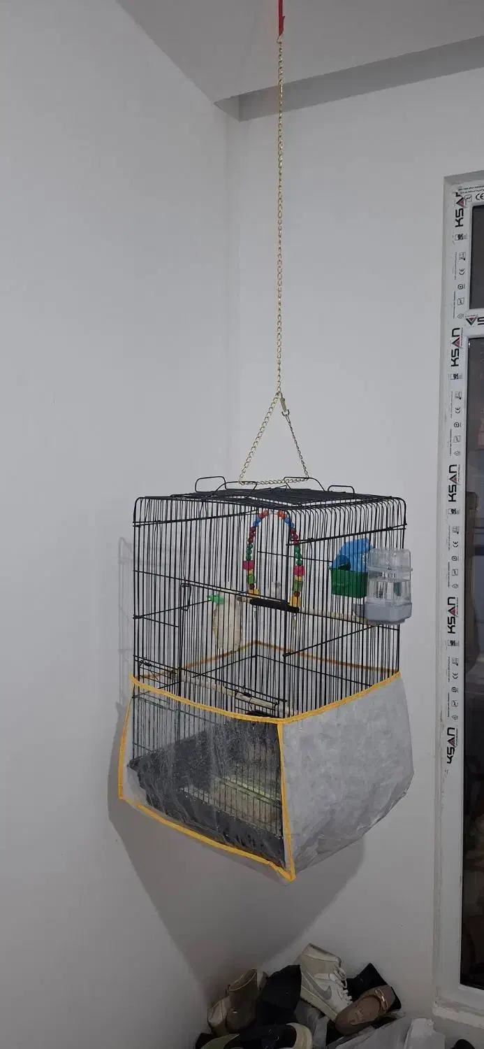 فنج|پرنده|مشهد, امیریه|دیوار