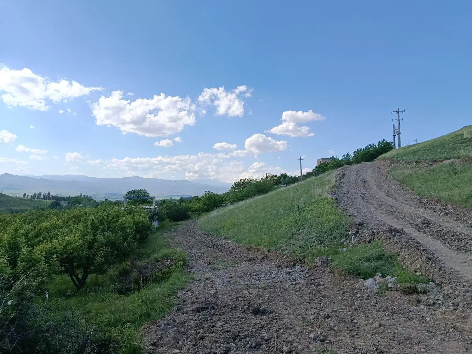 باغ سیب|فروش زمین و ملک کلنگی|مشگین شهر, |دیوار