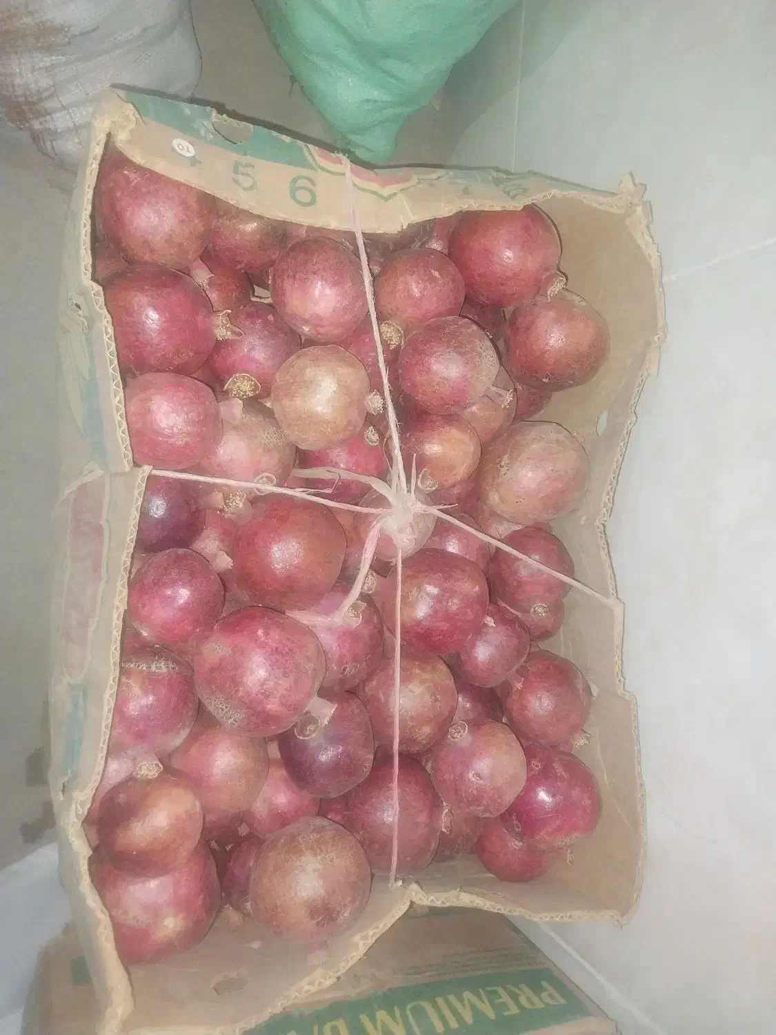 انار بجستان|حراج|بجستان, |دیوار