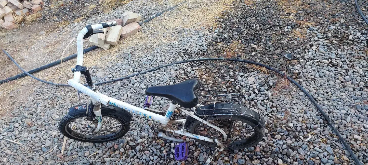 دوچرخه سایز ۱۶ اصل ژاپن|دوچرخه، اسکیت، اسکوتر|میانه, |دیوار