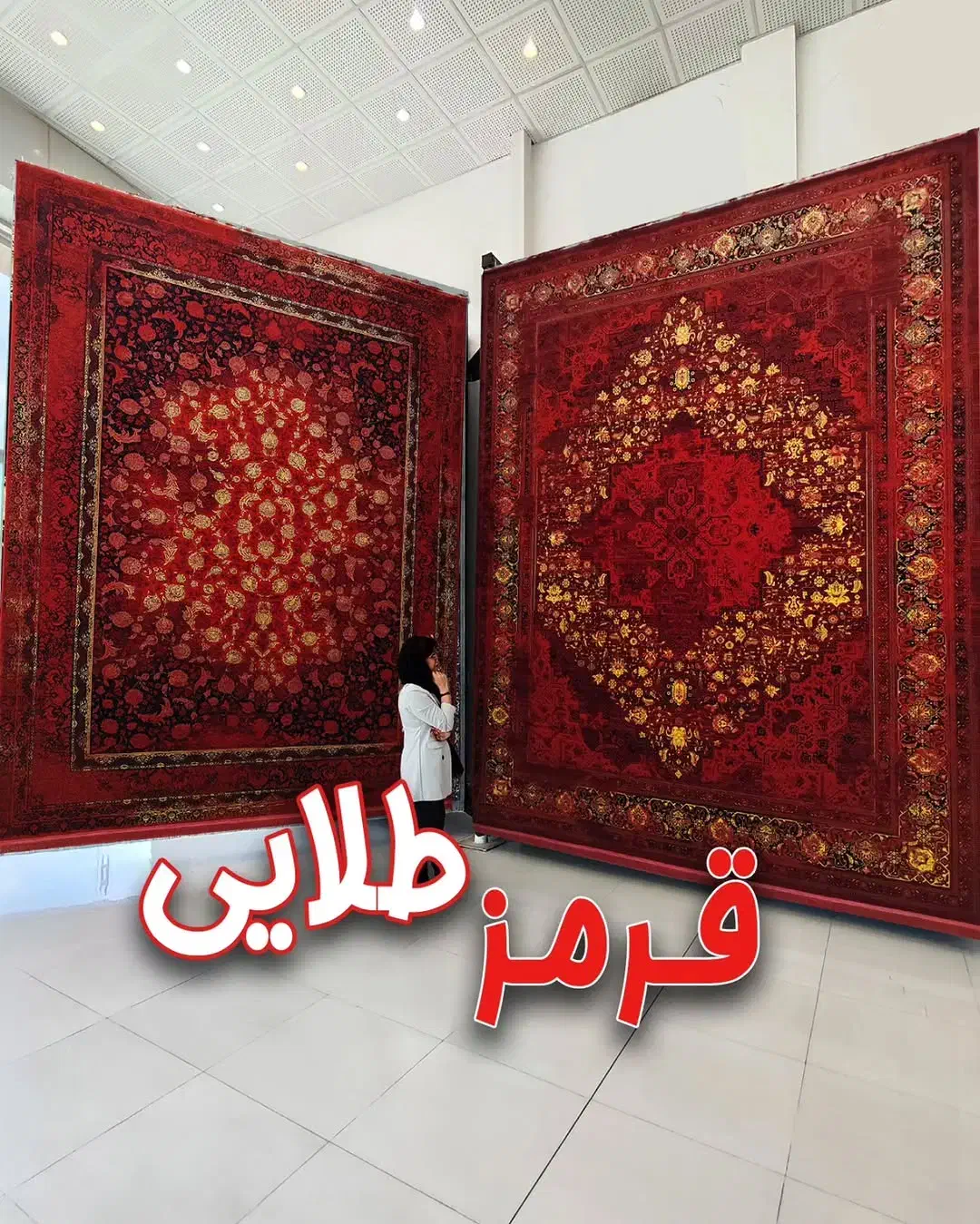 بروزترین فرش در شهر فرش ۱۲۰۰شانه کلاریس جدید|فرش|زرقان, |دیوار