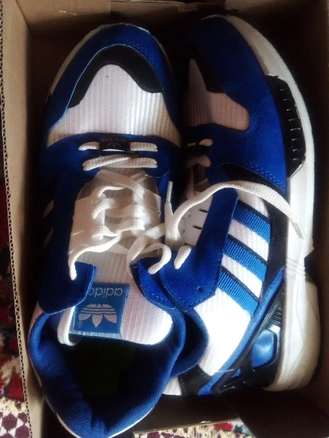 کفش|کیف، کفش، کمربند|شیدا, |دیوار