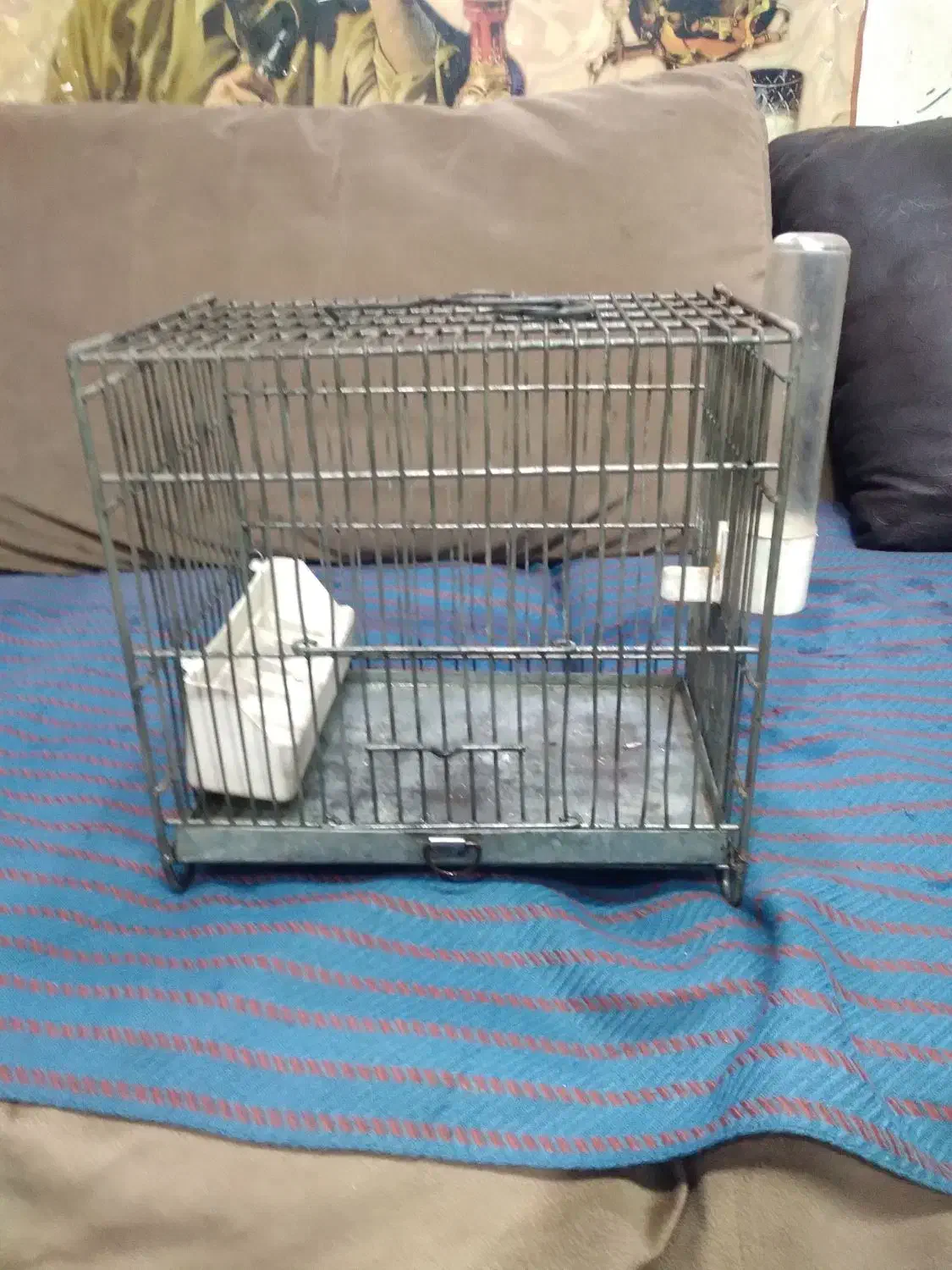 تعدادی قفس سره.۱عددقفس جوجه پرون|لوازم جانبی حیوانات|ری, شهید بهشتی|دیوار