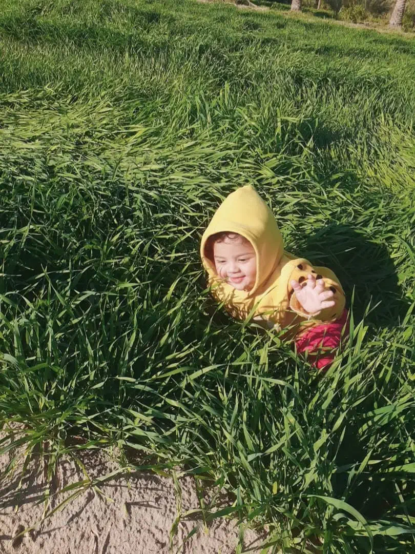 سلام زمین جهت کشاورزی|فروش دفتر صنعتی، کشاورزی، تجاری|عنبرآباد, |دیوار