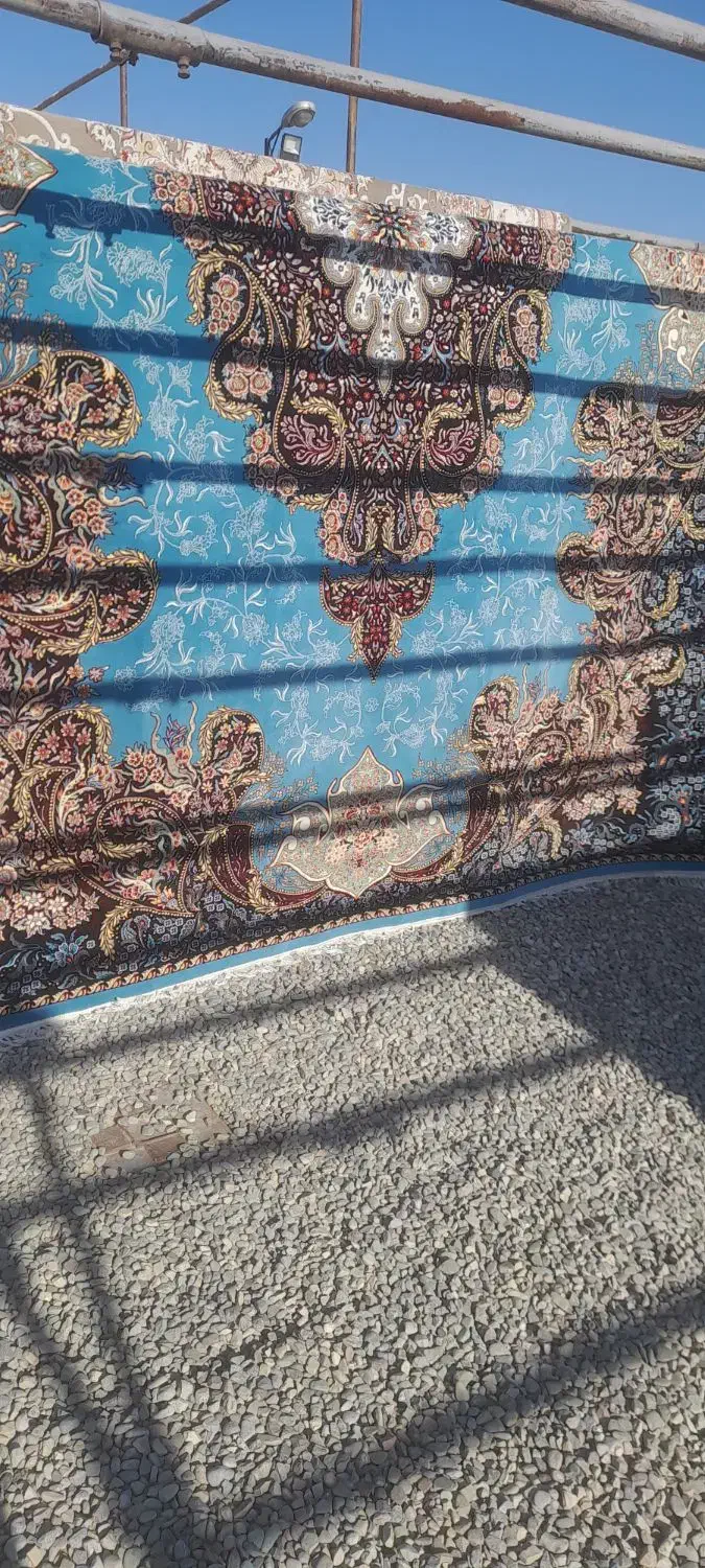 قالیشوی ملایری در پاکدشت‌وشریف اباد|خدمات نظافت|پاکدشت, پاکدشت (مامازند)|دیوار