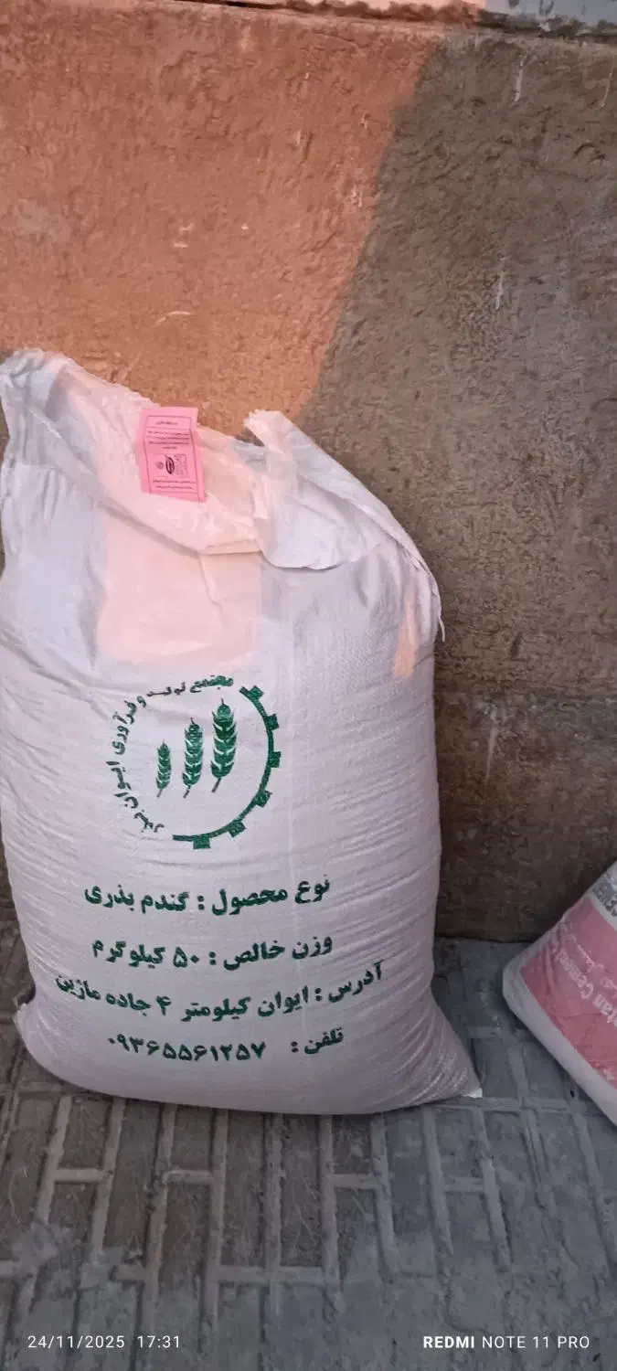 گندم بذری|گل و گیاه طبیعی|ایوان, |دیوار