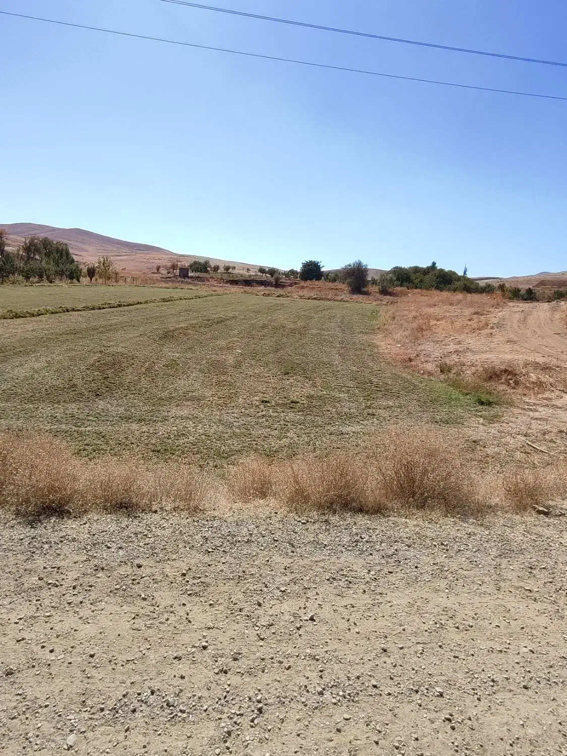 زمین کشاورزی|فروش زمین و ملک کلنگی|موچش, |دیوار