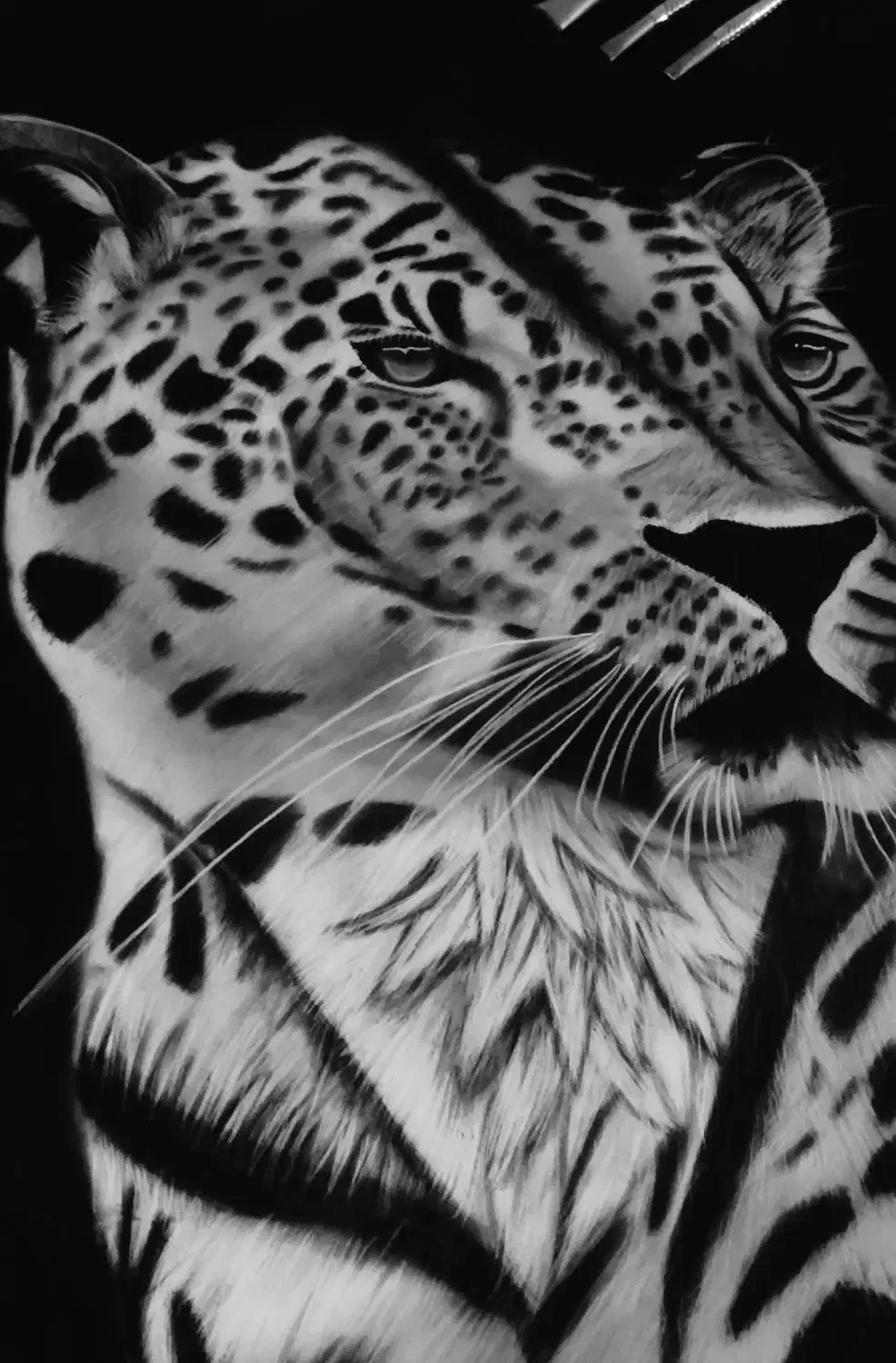 نقاشی سیاه قلم( یوز پلنگ )|تابلو، نقاشی، عکس|مشهد, خواجه ربیع|دیوار