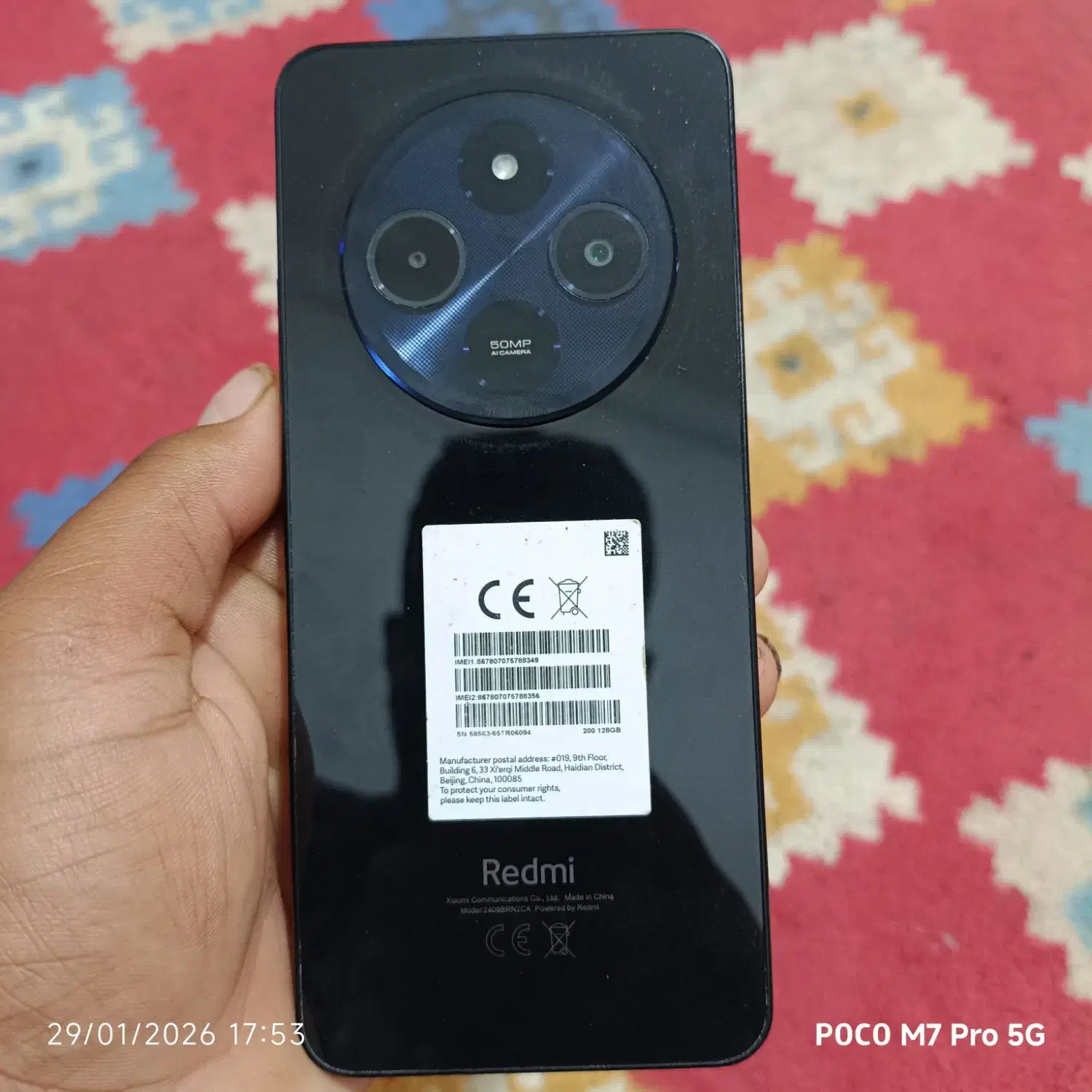 کوشی شیامی|موبایل|بم, |دیوار