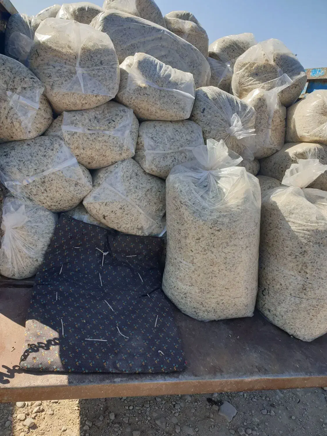 تفاله چغندر میاندواب|حیوانات مزرعه|لیلان, |دیوار