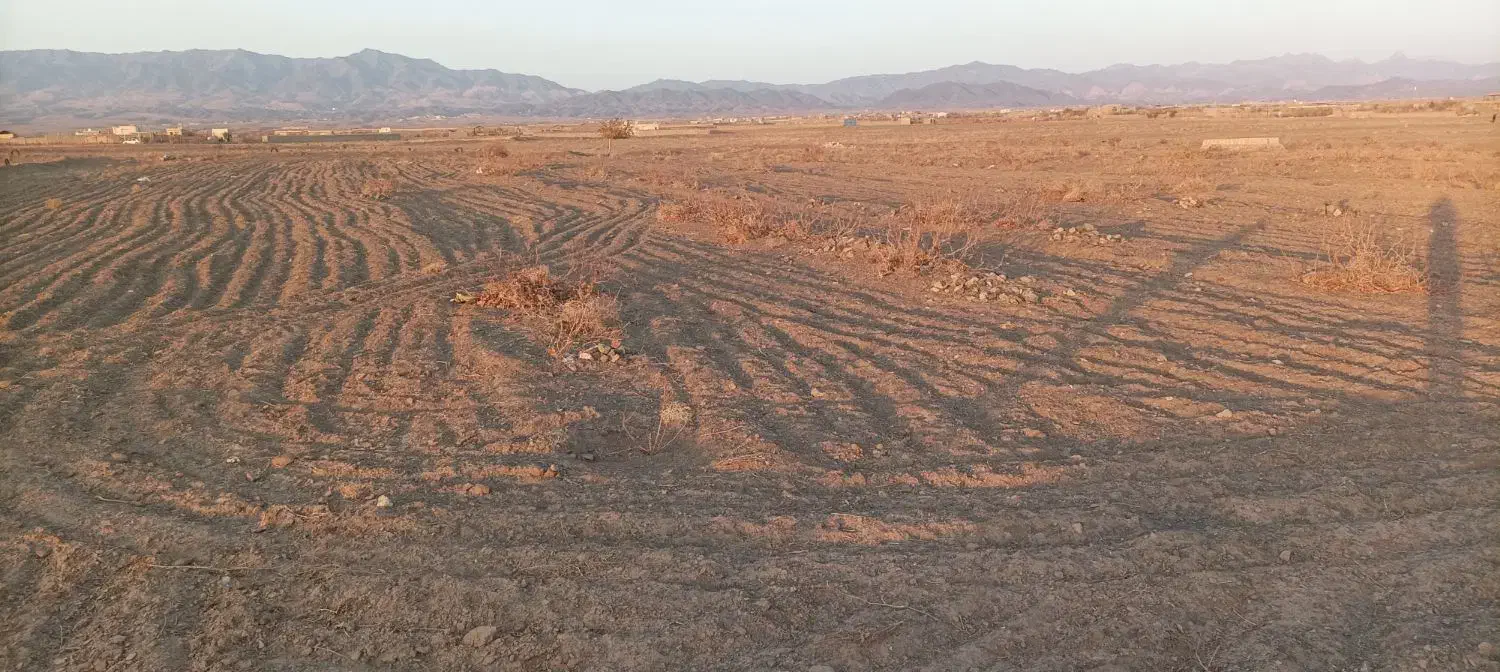 زمین|فروش زمین و ملک کلنگی|سبزوار, کراب|دیوار