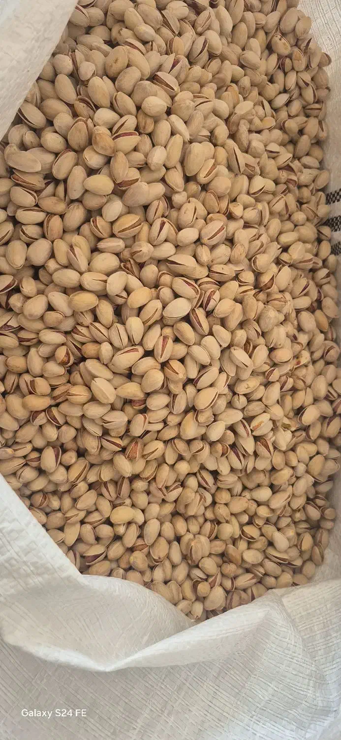 پسته|خوردنی و آشامیدنی|سروستان, |دیوار