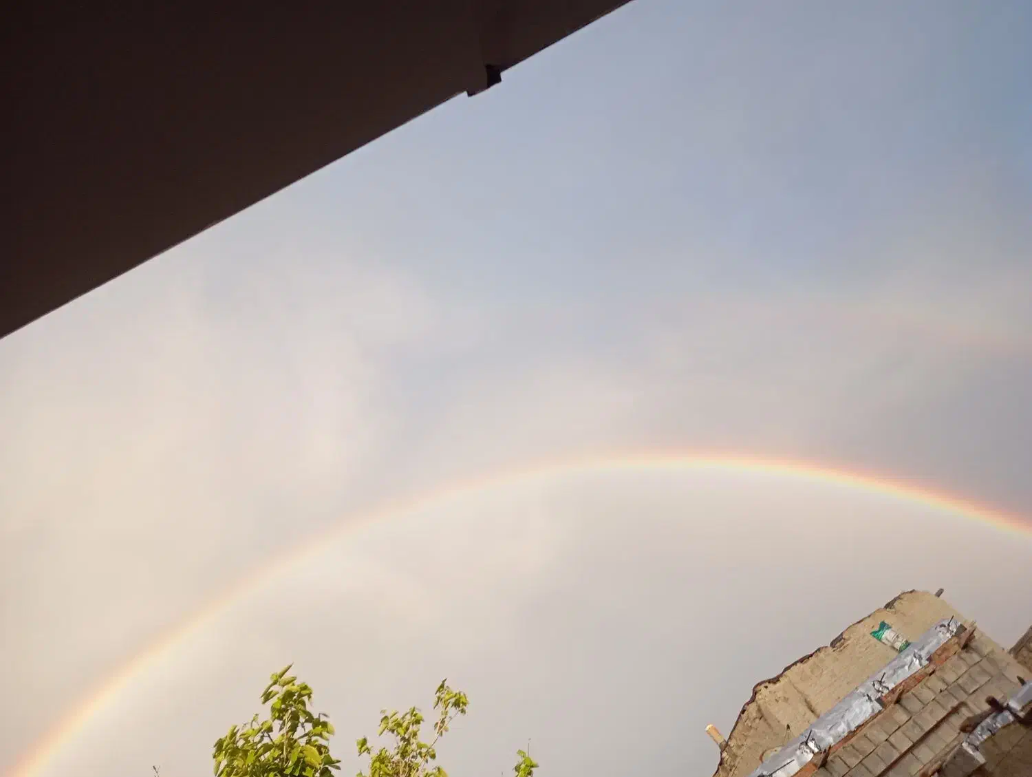 کیف پر از مدارک گم شده|اشیا|تهران, دولتخواه شمالی|دیوار