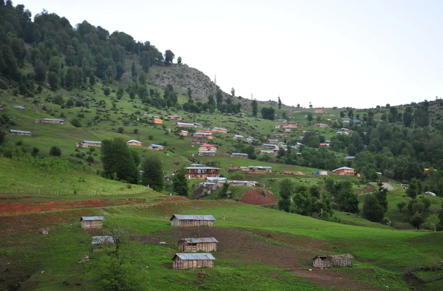 تور شمال|تور و چارتر|کاشان, پامنار|دیوار