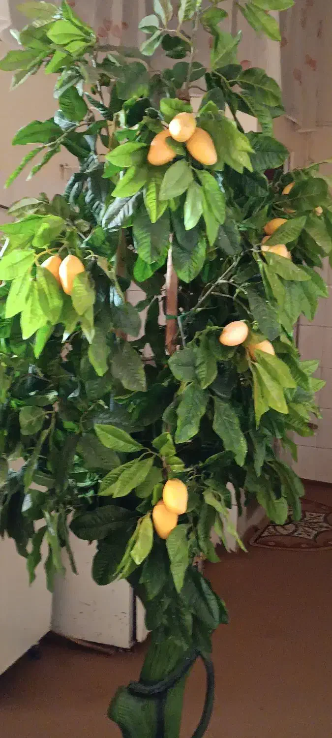 گل مصنوعی|گل مصنوعی|ابهر, |دیوار