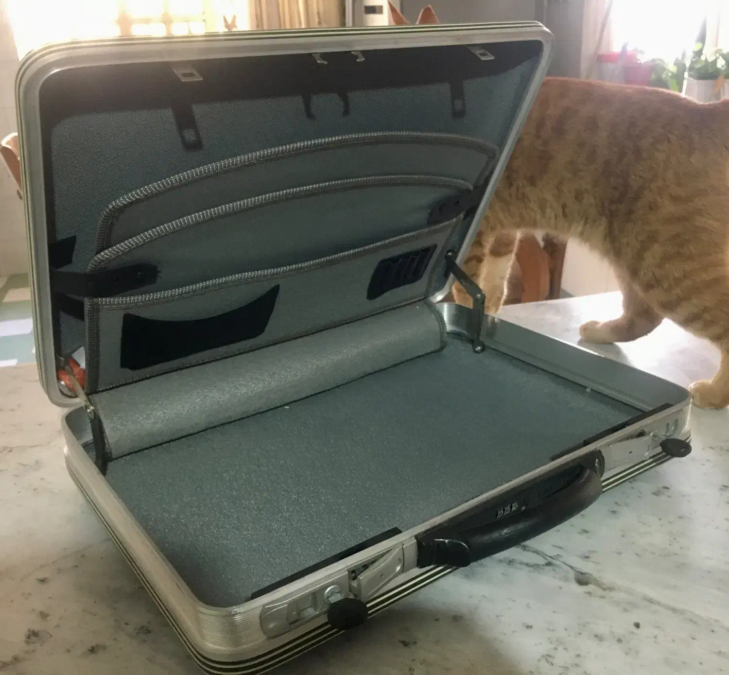 کیف سامسونت مدل دیپلمات|کیف، کفش، کمربند|اسفراین, |دیوار